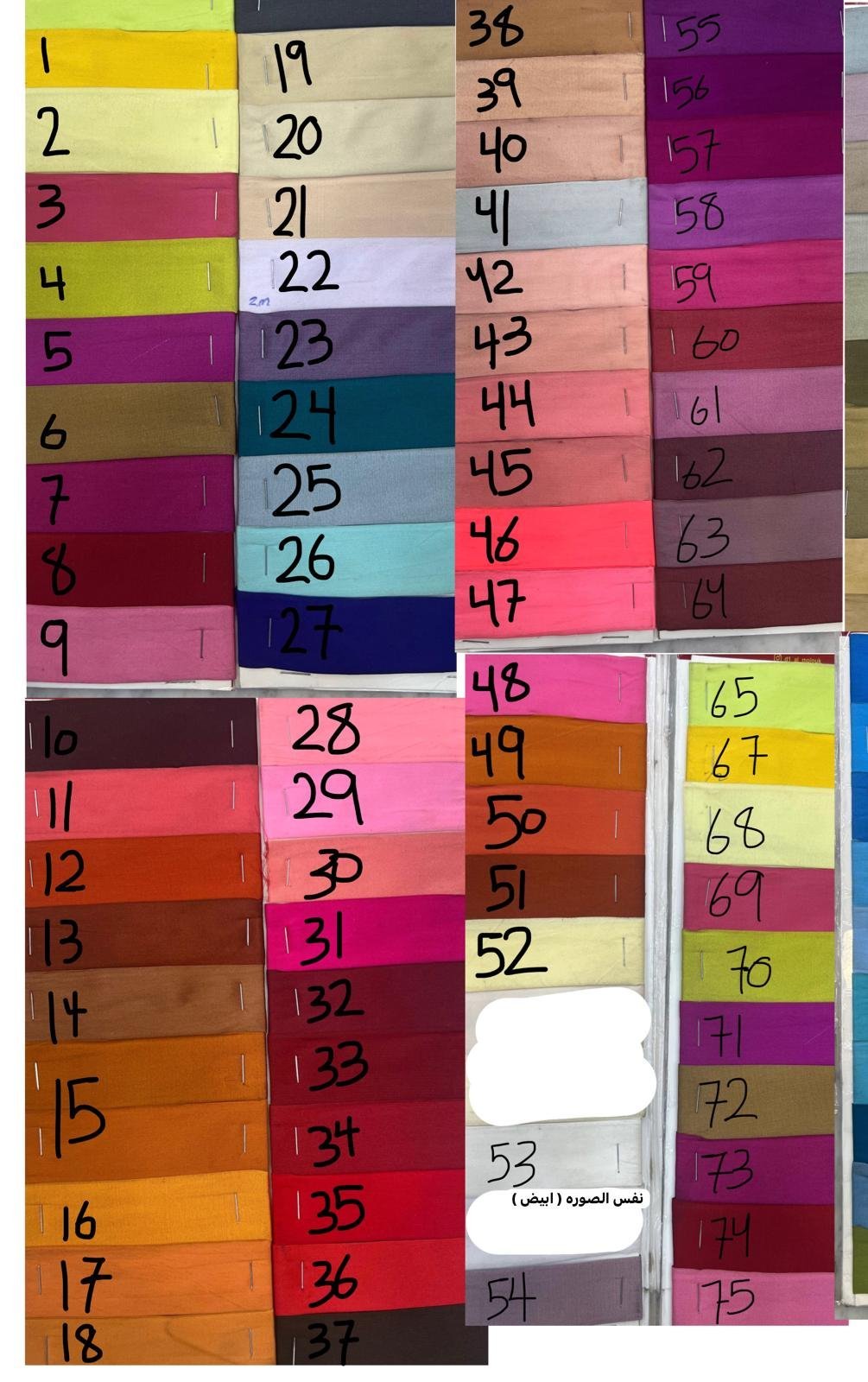 Summer'24 #5 - Image 3