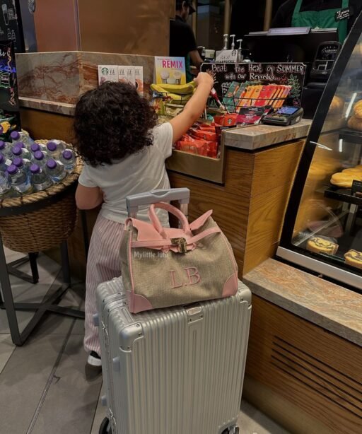 Airport Bag