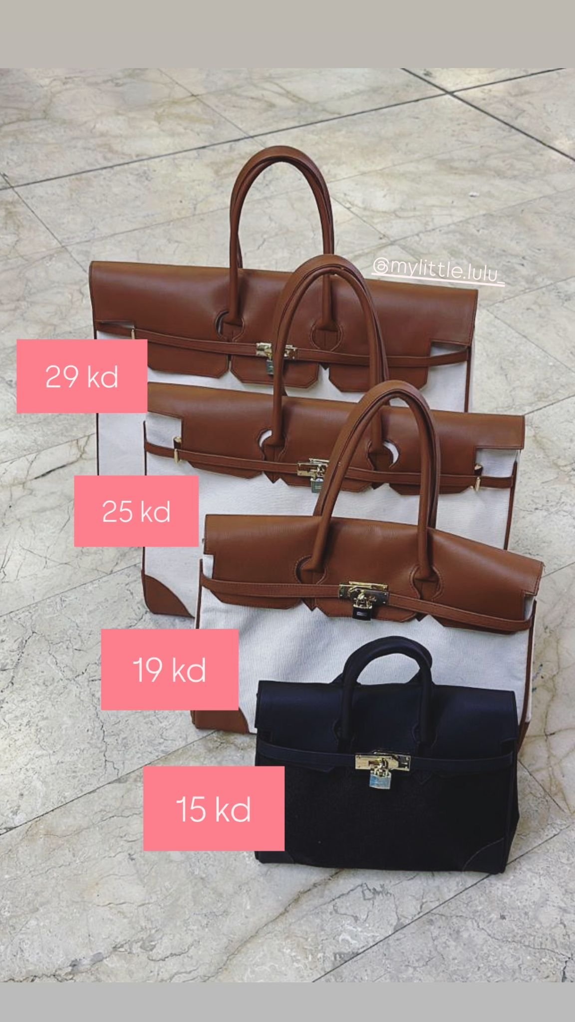 Airport Bag - Image 4